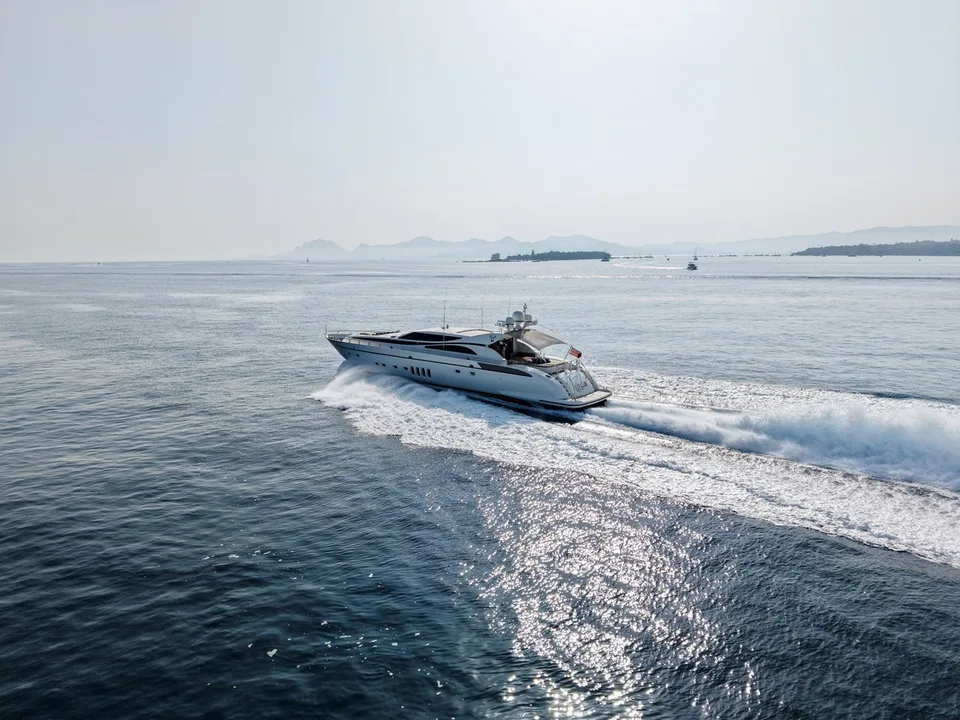 Arno Leopard 34