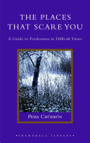 Cover of The Places That Scare You