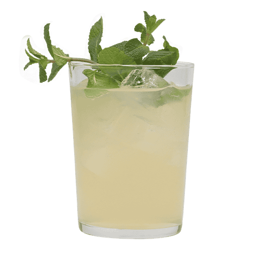 Elderflower Fizz