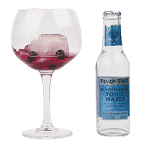 Malfy Arancia Tonic