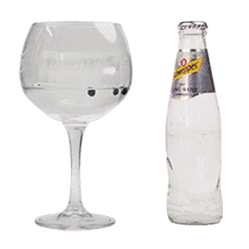 Brockmans Tonic