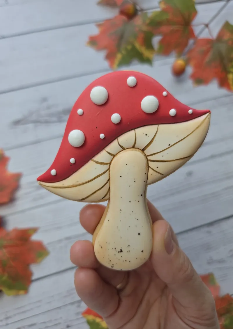 Mushroom (AF) decorated cookie