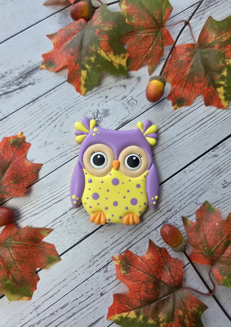 Owl (BS) decorated cookie