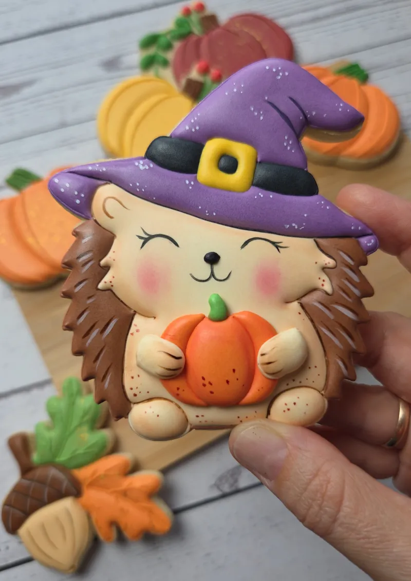 Witchy Hedgehog decorated cookie