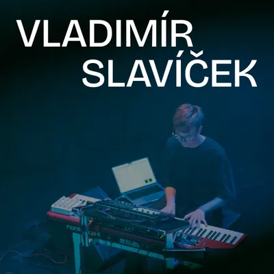 Vladimír slavíček - Portfolio