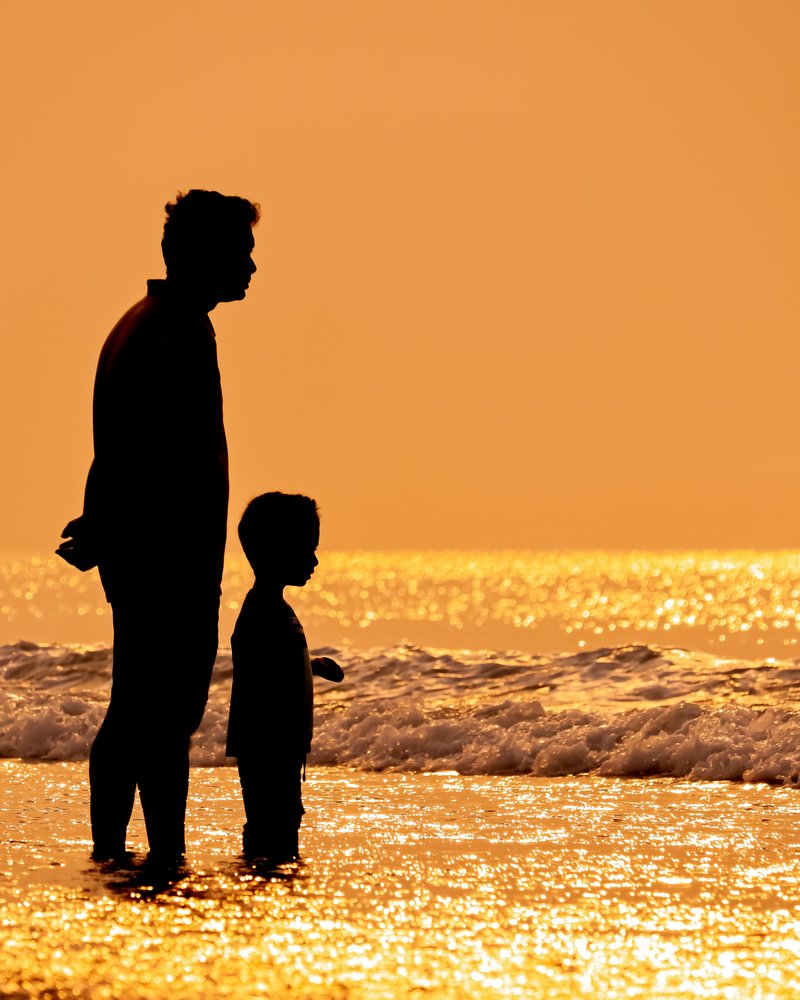 Silhouette of a Father Holding a Daughter against a Sunset Sea · Free Stock Photo
