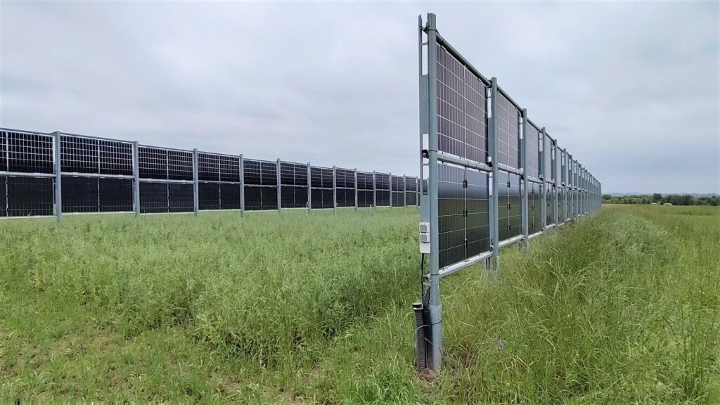 Agri-PV Anlage in Dresden Pillnitz