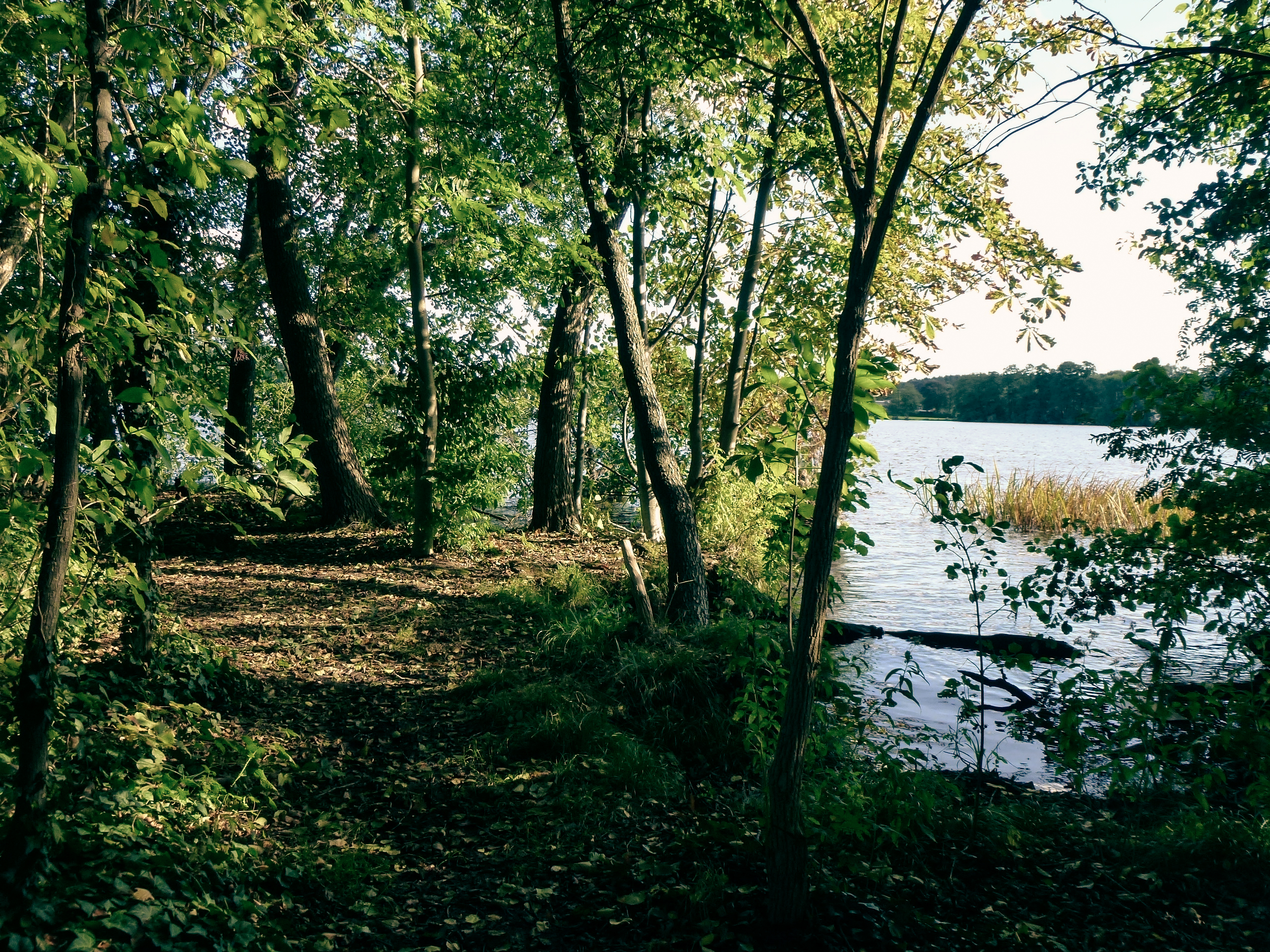 Auf den Spuren des Soldatenkönigs