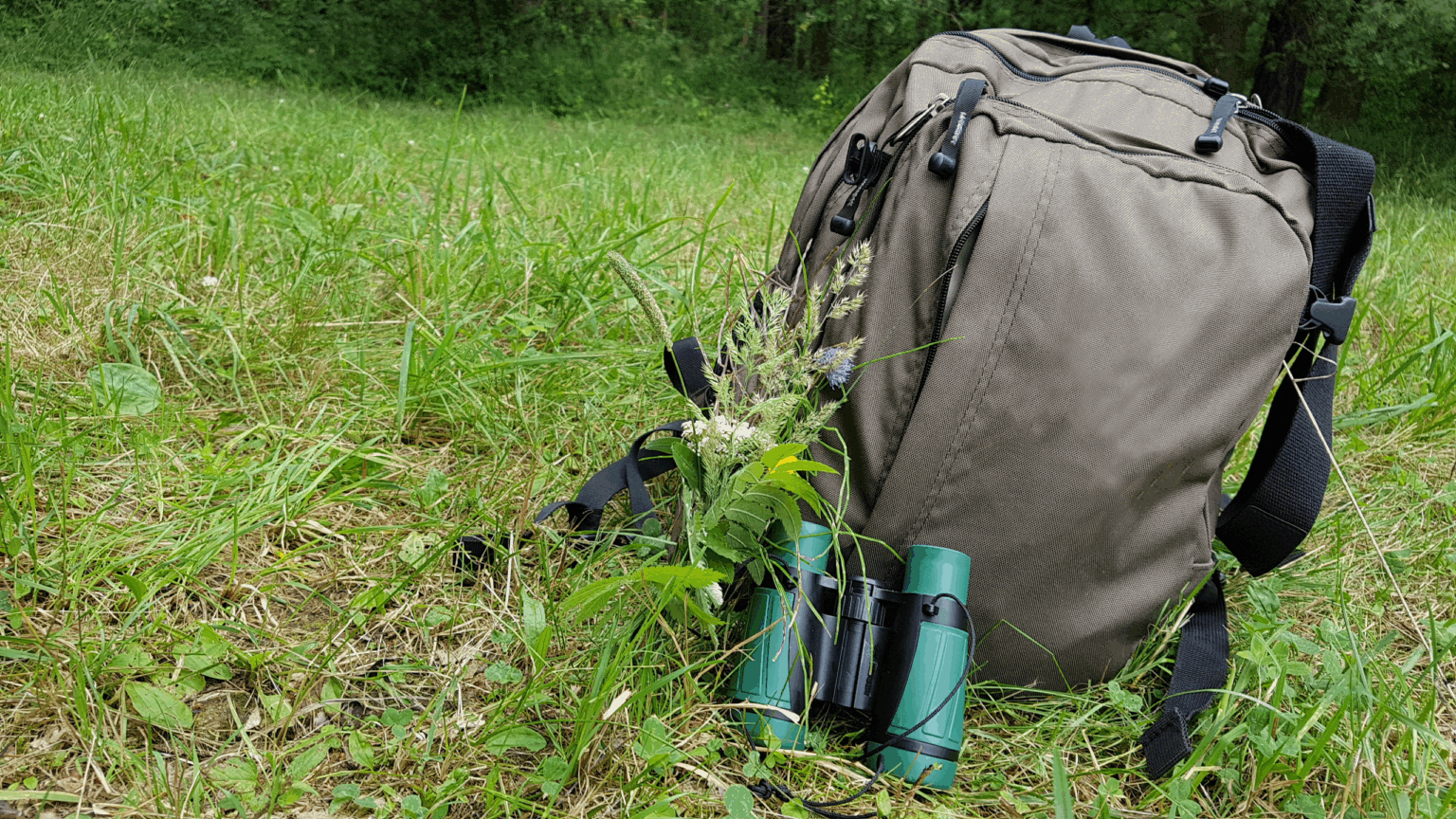 Historischer Park trifft wilde Natur – Herbstwanderung in Reuthen