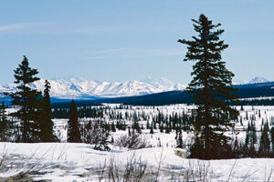 Von Alaska nach Feuerland - Multivisionsshow