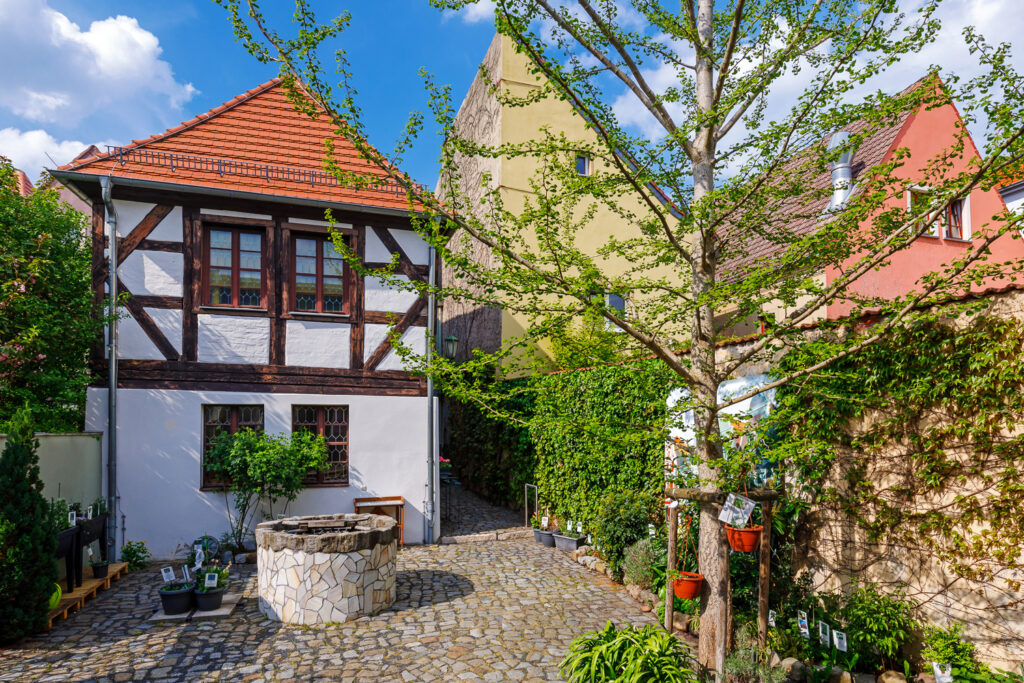 "Die Magie der Farben"