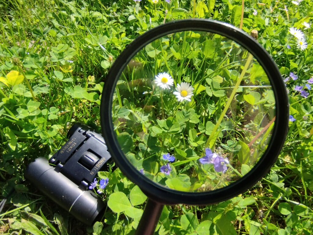 „Liebe Lucie, bitte schreibe mir doch recht bald…“