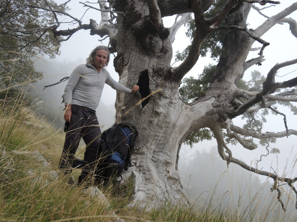 Norbert Herrn - Go with the flow - eine Reise entlang der Vjosa durch Südalbanien und das griechische Pindosgebirge