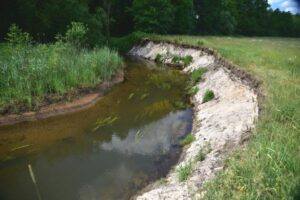 RangerTour: Die Alte Dahme – kleiner, lebendiger Fluss