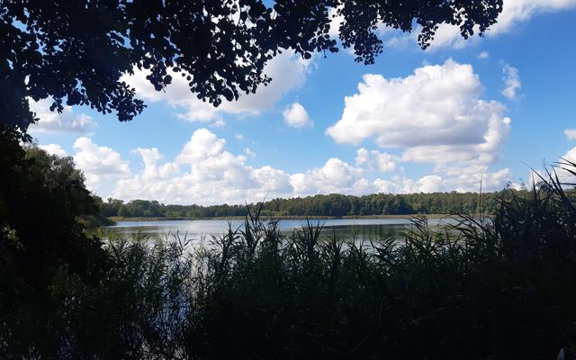 RangerTour: Landschaftswandeln