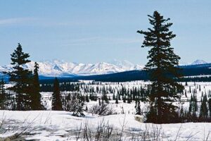 Von Alaska nach Feuerland - Multivisionsshow