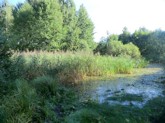 Schnupperangeln für Kinder