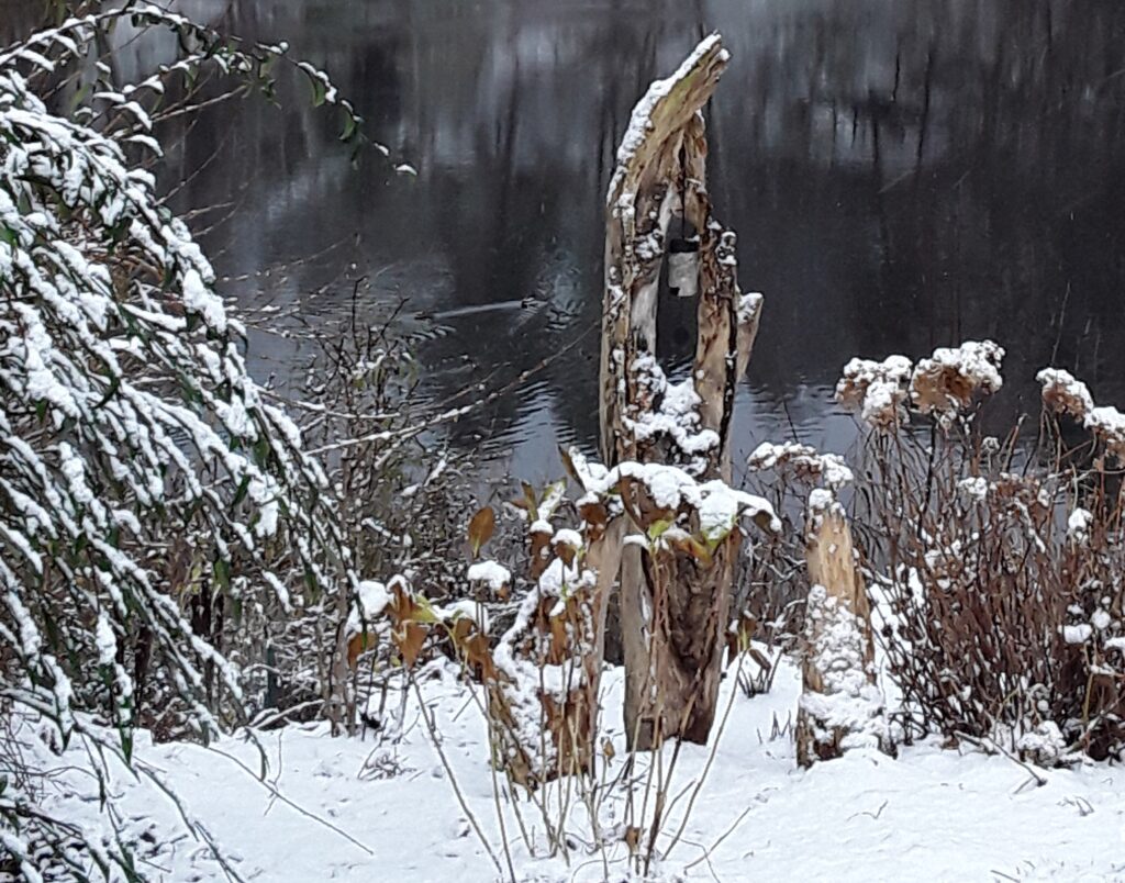 Es kann doch nicht ein Ort nur sein > der Kräuter- und Naturhof lädt ein
