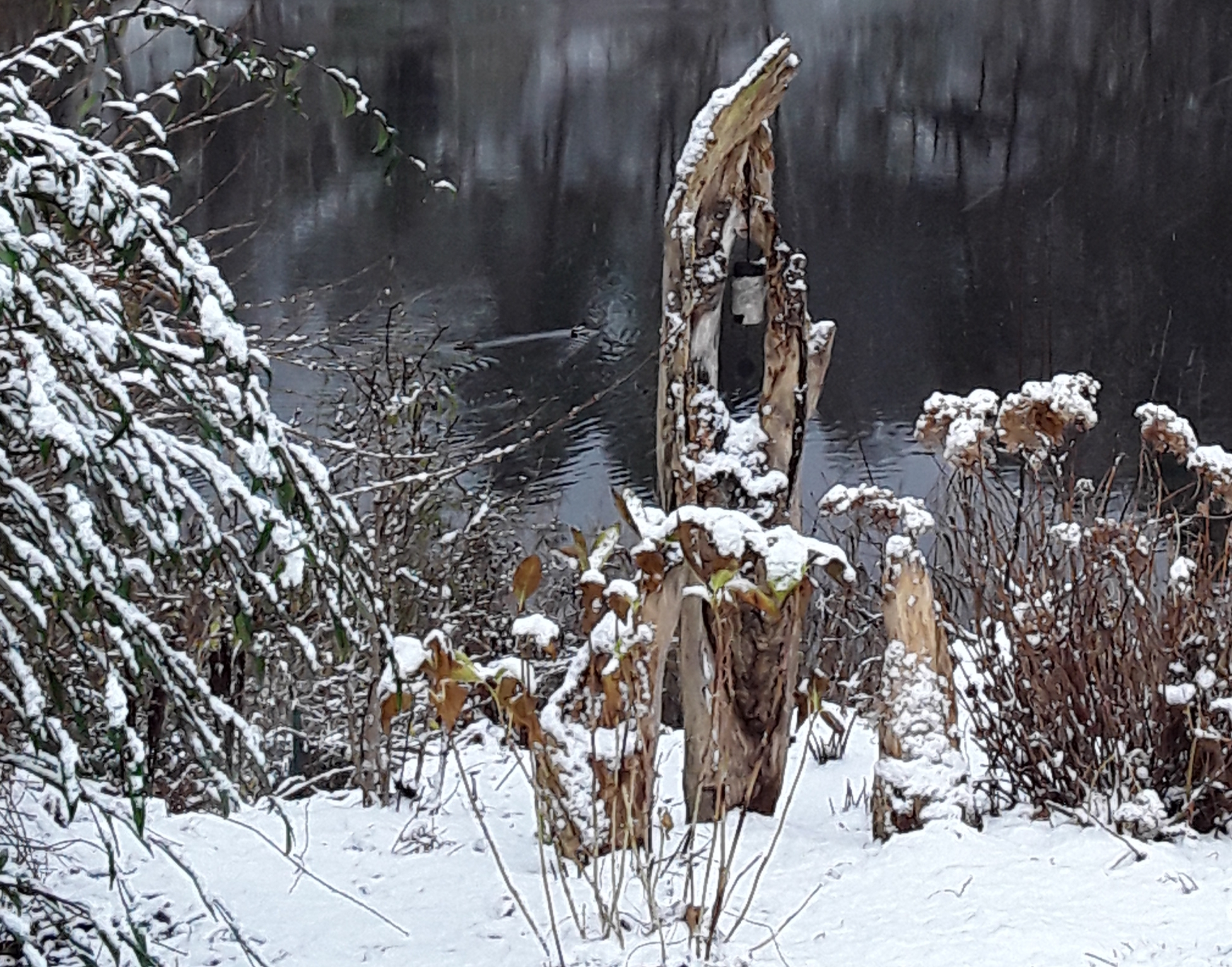 Es kann doch nicht ein Ort nur sein > der Kräuter- und Naturhof lädt ein