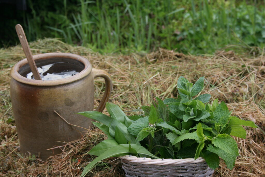 Die Kraft der Wildkräuter