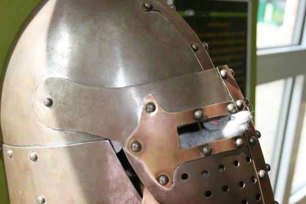 Internationaler Museumstag „Museen mit Freude entdecken"