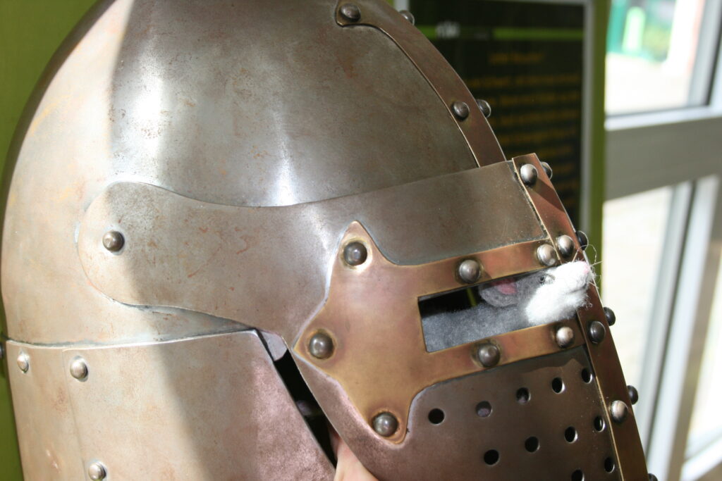 Internationaler Museumstag „Museen mit Freude entdecken"