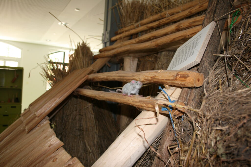 22. Museumsnacht im Lausitzer Museenland „Auf der Suche nach der Museumsmaus“