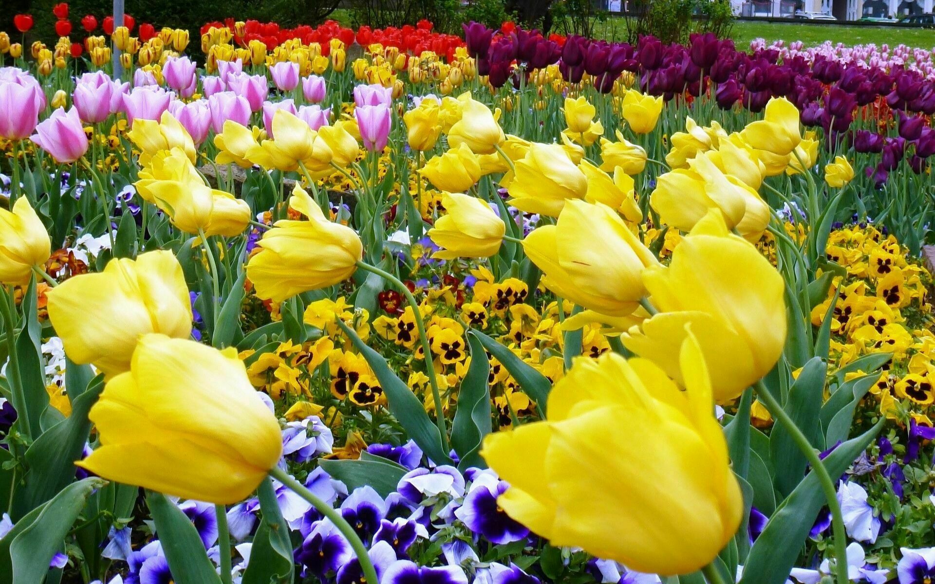 Märchenhütte Senzig