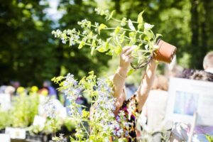 16. Gartenfestival Park & Schloss Branitz in der Historischen Schlossgärtnerei