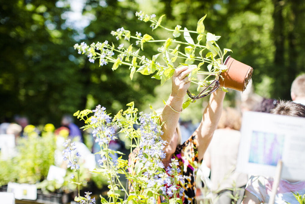 16. Gartenfestival Park & Schloss Branitz in der Historischen Schlossgärtnerei