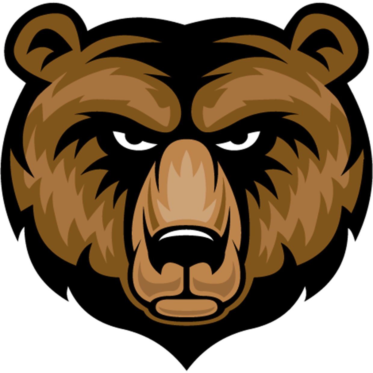 Cottonwood High School