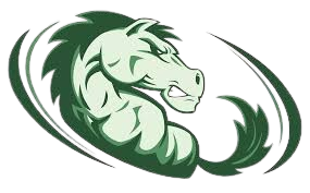 Strongsville High School (OH)