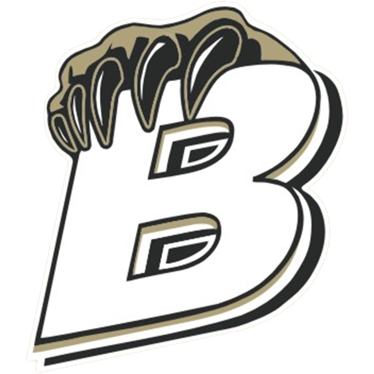 Bradley High School