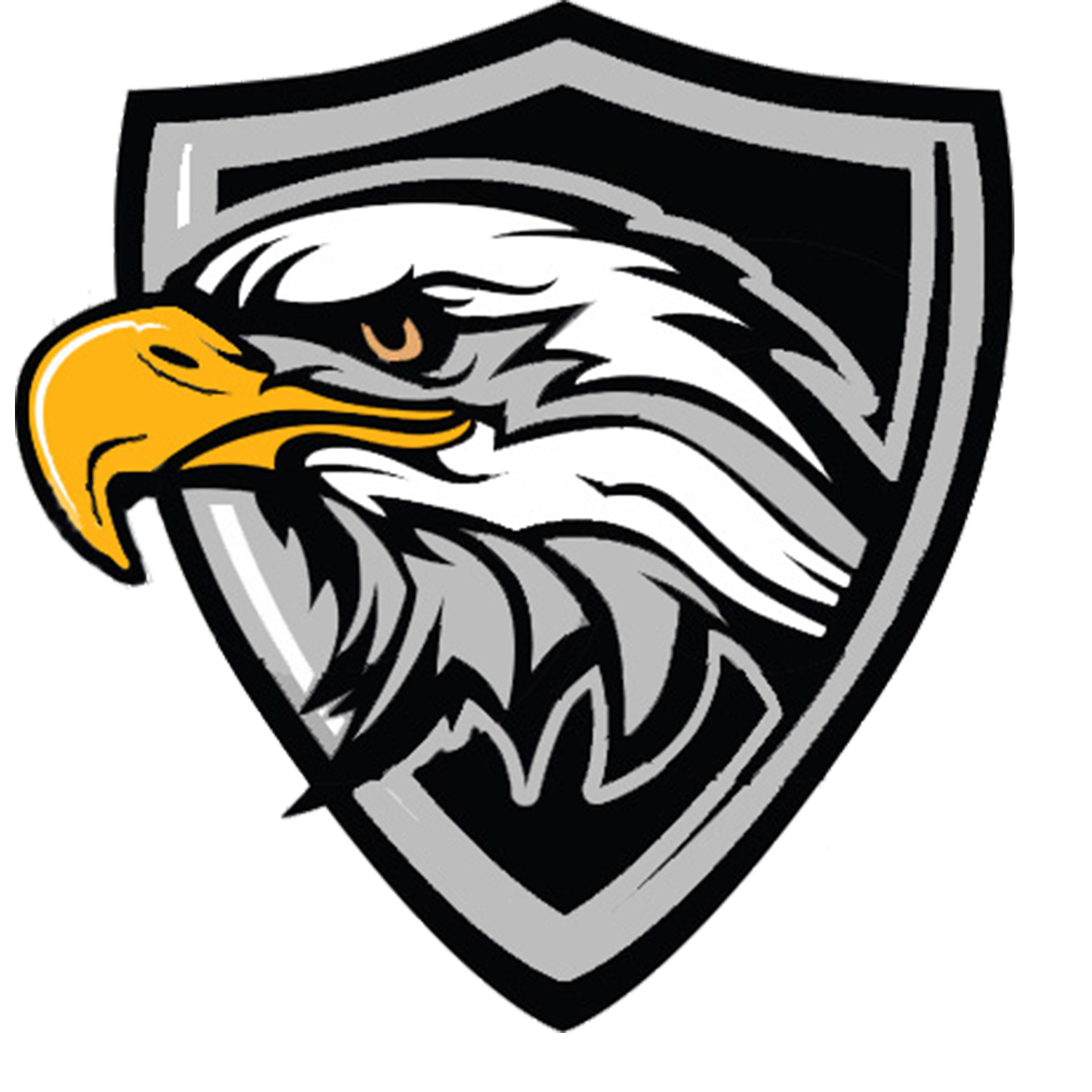 Cossatot River High School