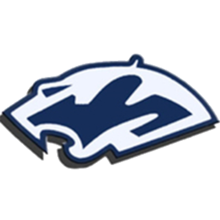 Plainfield South High School