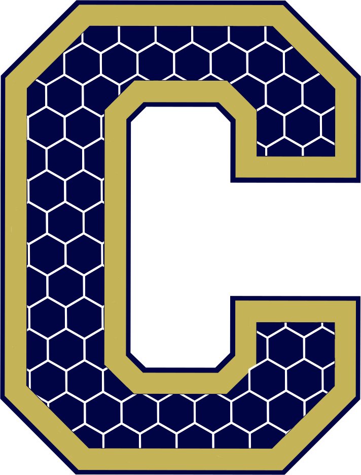 Chapelgate Christian Academy
