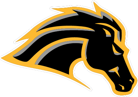 Metea Valley High School