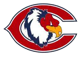 Chicago Curie High School