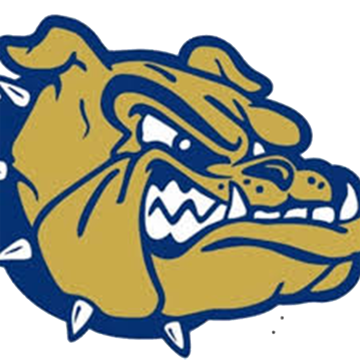 Decatur High School