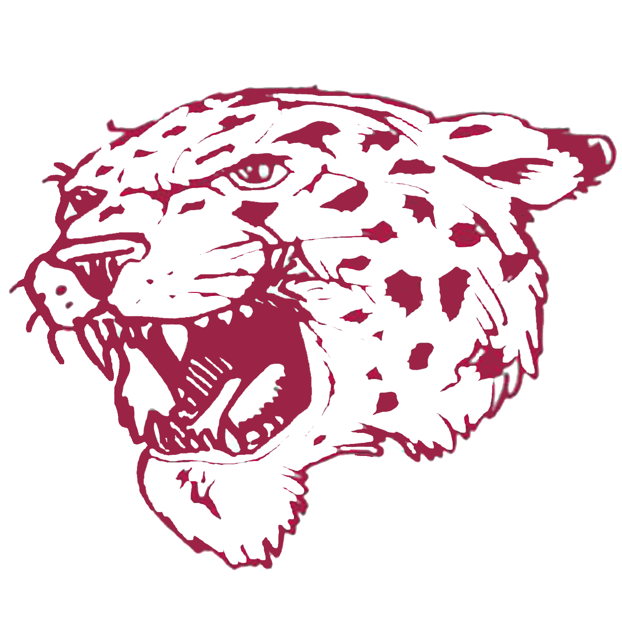 Alpena High School
