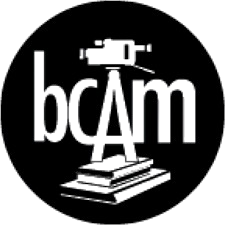 Brooklyn Community Arts and Media High School (bcam)