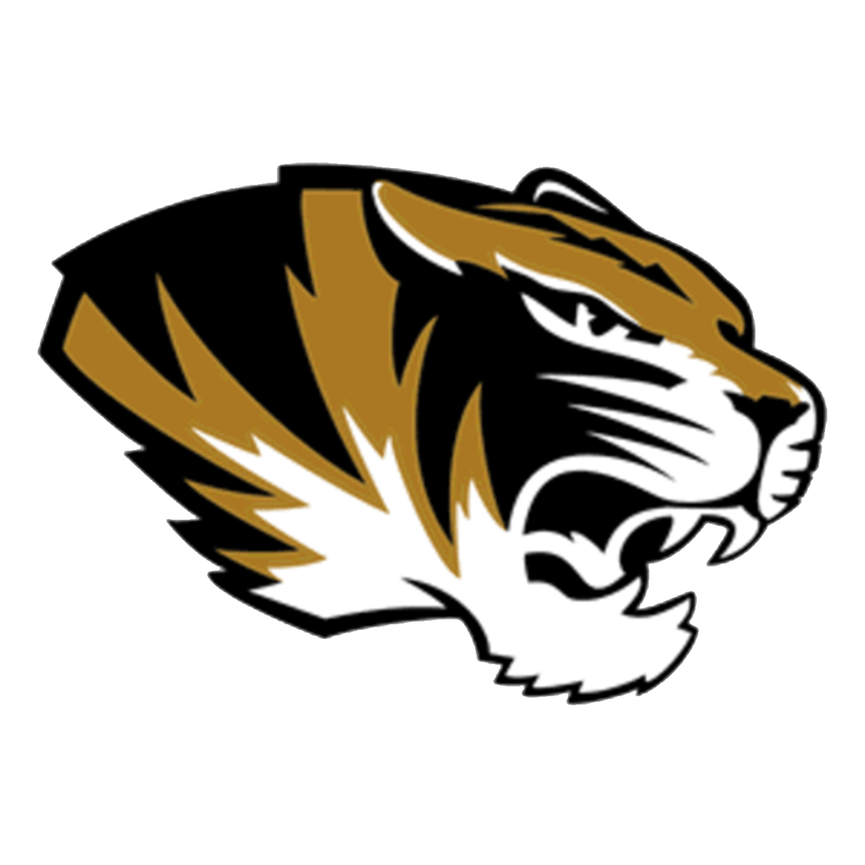 Charleston High School