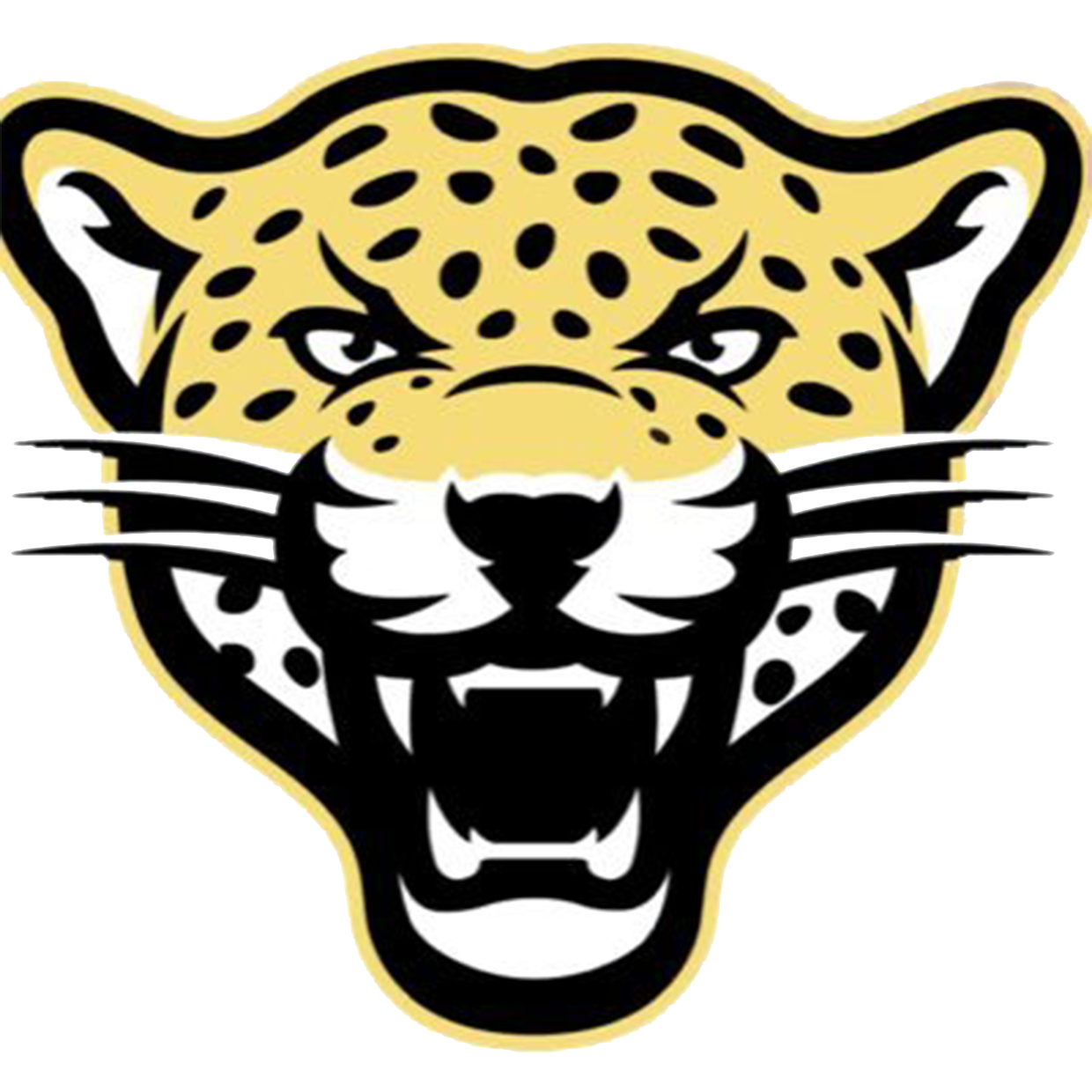 De Queen High School