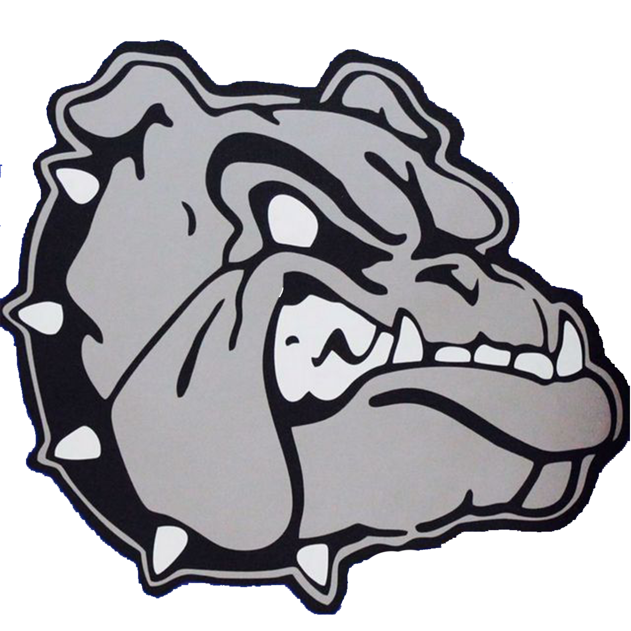 Belgreen High School