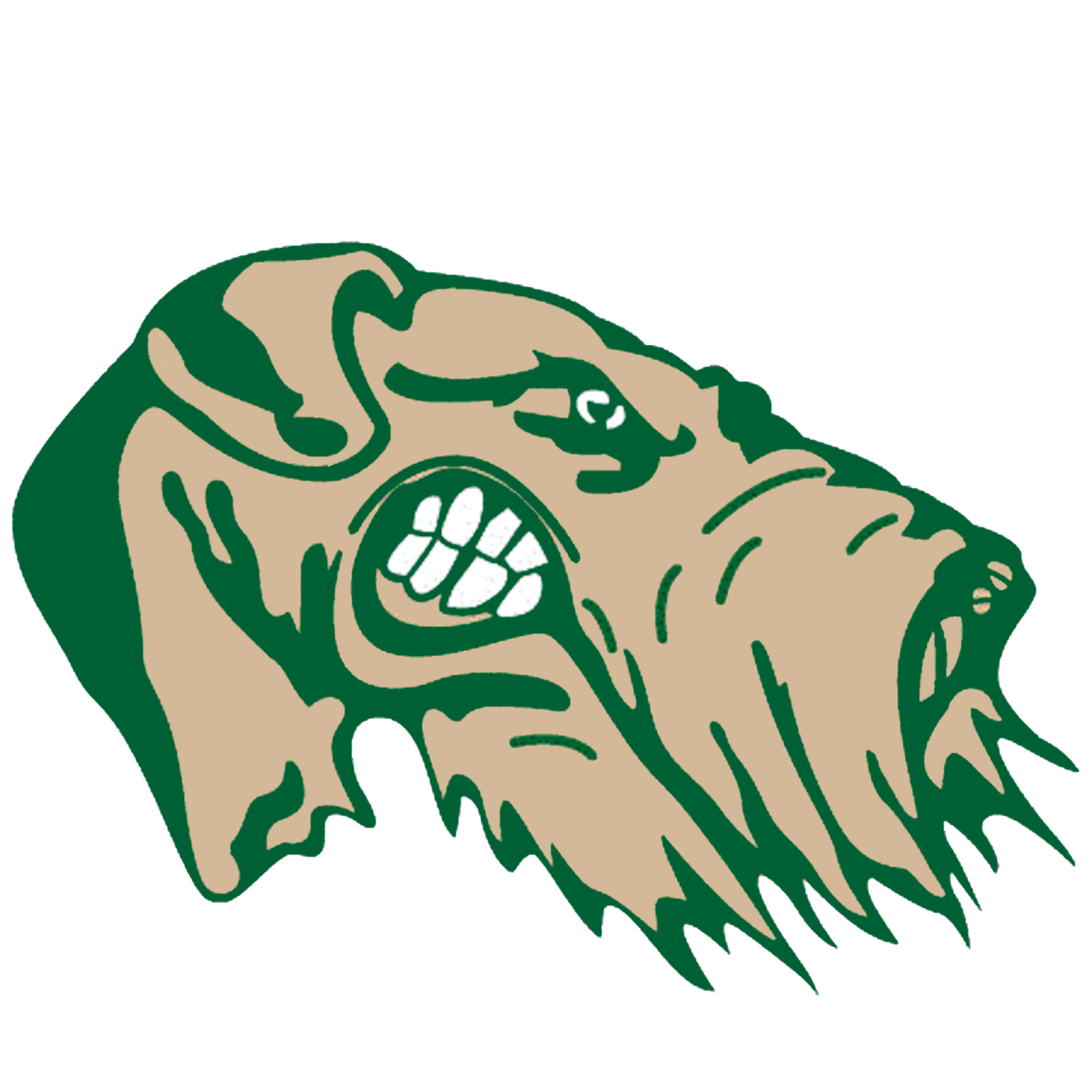 Alma High School