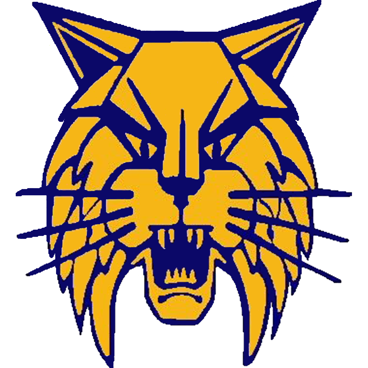 Dumas High School