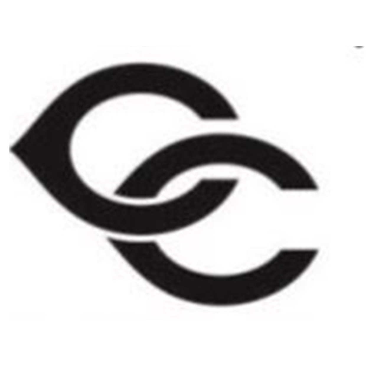 Cherokee County High School