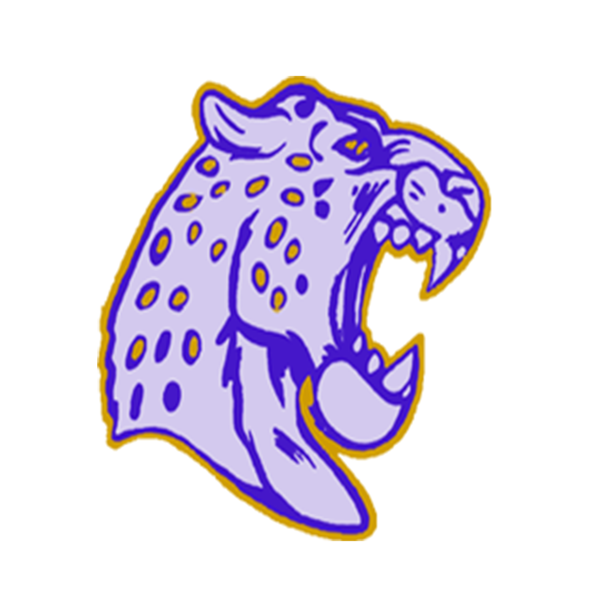 Mattie T Blount High School