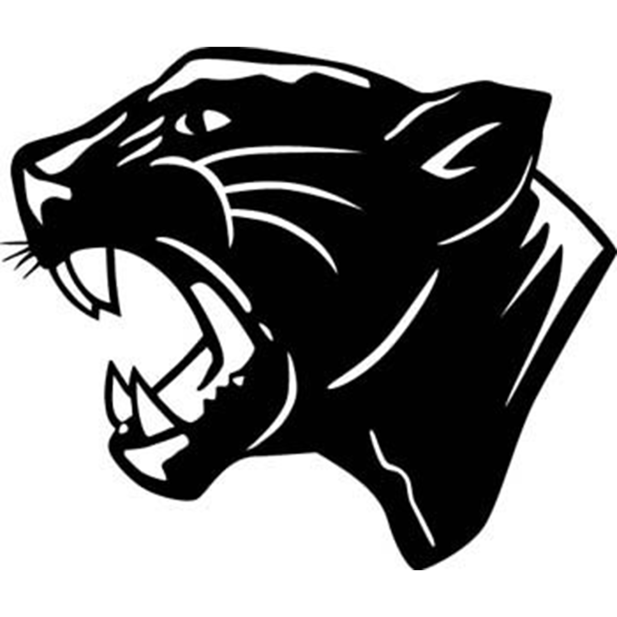 Collinsville High School