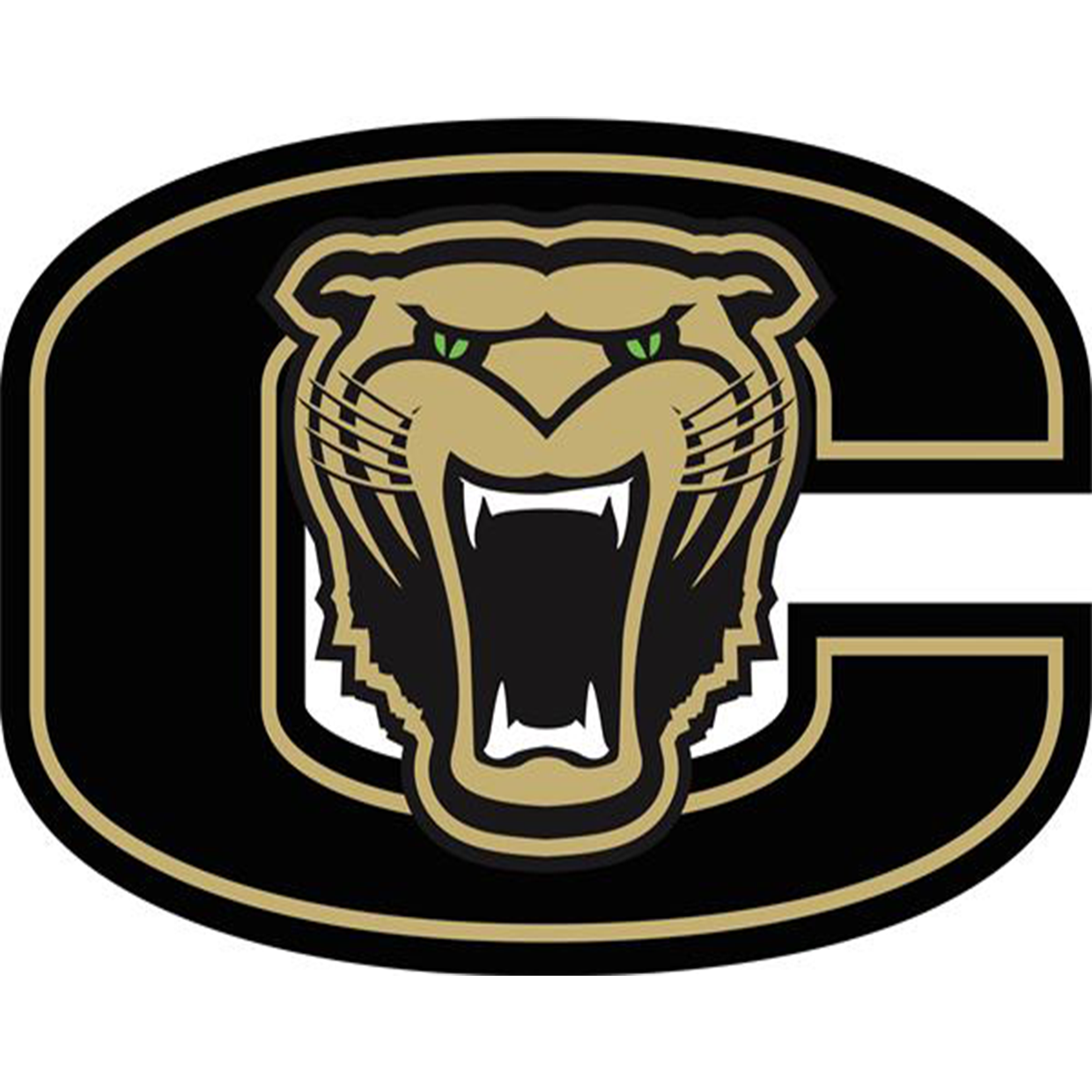 Cullman High School